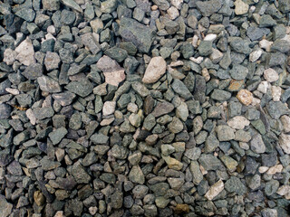 Coral texture for an industrial background