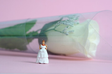 Obraz na płótnie Canvas Women miniature people fitting wedding dress standing in front of white rose flower, isolated pink background. Image photo