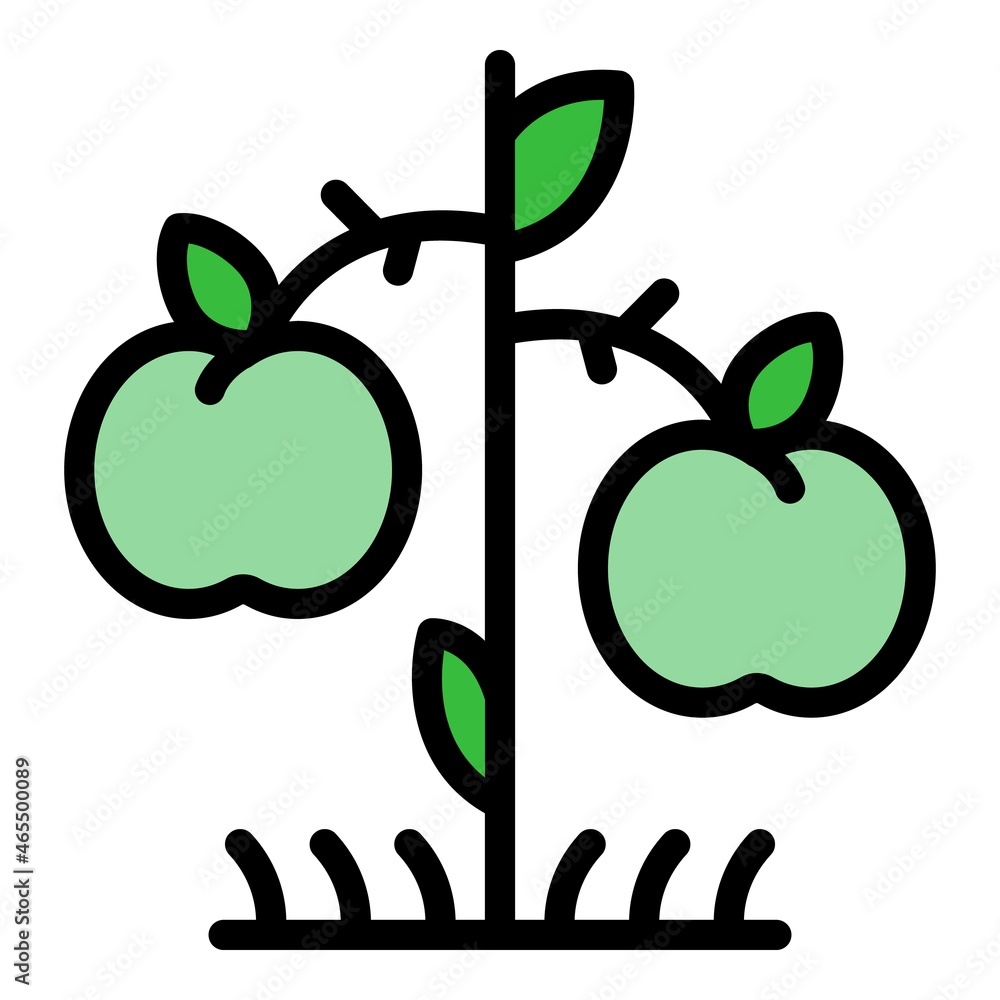 Poster apple tree producer icon. outline apple tree producer vector icon color flat isolated