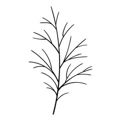 Branch tree vector botanical illustration. Forest greenery clipart.