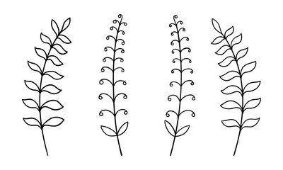 Leaf vector botanical illustration. Forest greenery clipart. Modern minimalism neutral elements design.