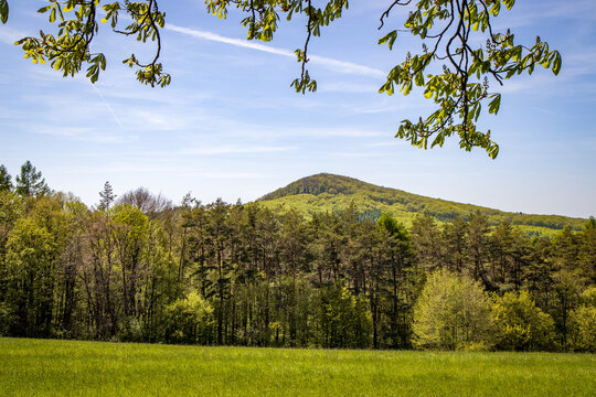 View of a green hill lined with trees and twigs (Buchlovice, Czech Republic)