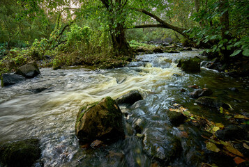 Small river in autumn