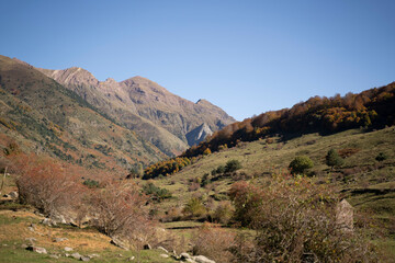 Fototapeta na wymiar mountain landscape in autumn in the pyrenees