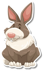 Rabbit cartoon character on white background