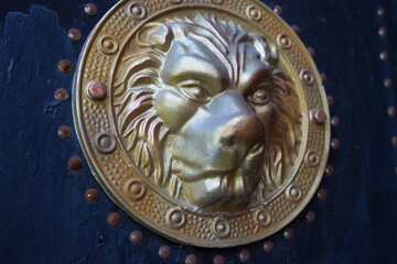 bronze lion head
