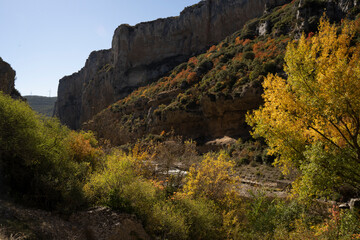 Fototapeta na wymiar autumn landscape in a canyon in foz de lumbier