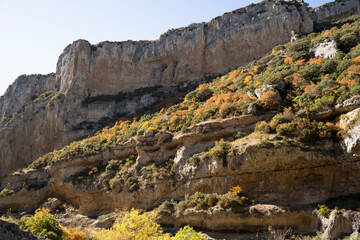 autumn landscape in a canyon in foz de lumbier