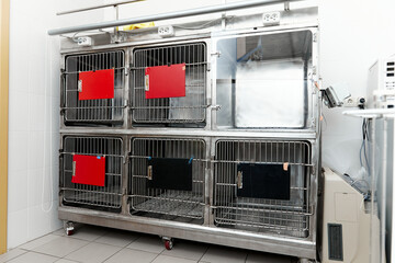 Iron cages for animals in the veterinary clinic
