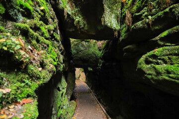 Hiking trail in the beautiful gorge Uttewalder Gate (Uttewalder Tor), Saxon Switzerland - Germany