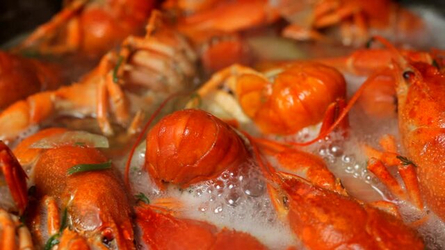 crayfish boil in boiling water, close-up, selective focus