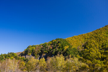 Obraz premium 秋の乗鞍高原 一ノ瀬園地