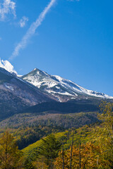 冠雪した乗鞍岳と紅葉