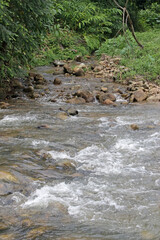 A small forest stream or tributary joins a larger river with boulders and rapids
