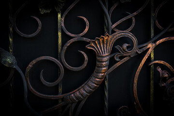Beautiful metal gate with forged elements in dark colors