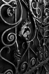 Metal forged gate, decorative finishing of metal gate