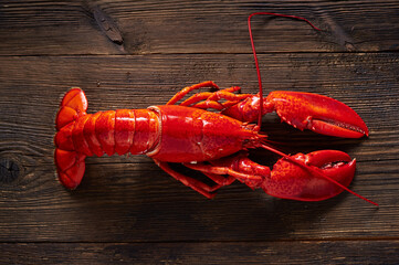 Boiled red Lobster on wooden background