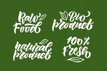 Hand sketched badges and labels with vegetarian and vegan and raw, eco, bio, natural, fresh, gluten and GMO free food diet design. Organic food elements set for product, cafe, restaurant and organic