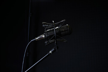 microphone in the recording studio