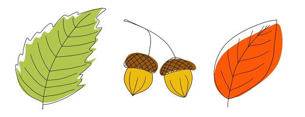 Autumn Leaves set with acorns. Isolated hand drawn illustration, doodles style on white background
