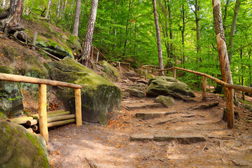 Hiking trail to the summit of the Lilienstein, Saxon Switzerland - Germany