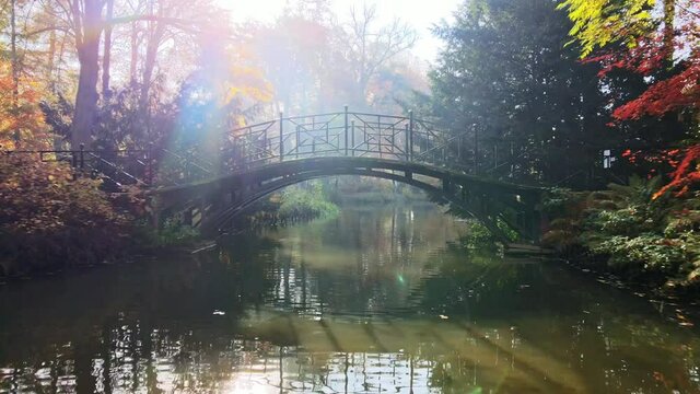 Scenic view of misty autumn landscape with beautiful old bridge the garden with red maple foliage.
