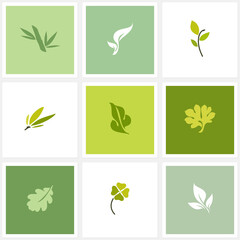 Fototapeta na wymiar Leaves of oak, bamboo, clover and other plants. Vector logo mark templates set. Elegant posters or design elements