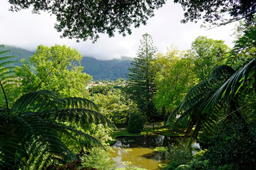 Fototapeta na wymiar green exotic landscape on the azores