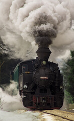 Naklejka na ściany i meble Steam train in Bucovina