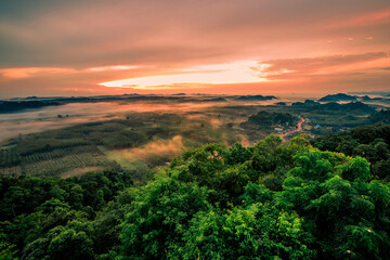Natural blurred background of fog scattered among trees in the morning, with soft sunlight from the sun, seasonal beauty.