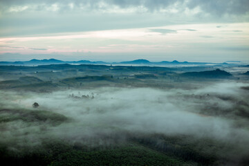 Fototapeta premium Natural blurred background of fog scattered among trees in the morning, with soft sunlight from the sun, seasonal beauty.