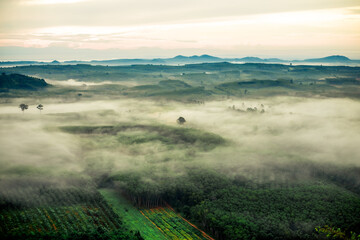 Natural blurred background of fog scattered among trees in the morning, with soft sunlight from the sun, seasonal beauty.