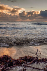 Sunset sky over Atlantic ocean. Sea weed on the sand in foreground. Cool and warm tones. muted...