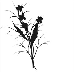 beautiful flowers