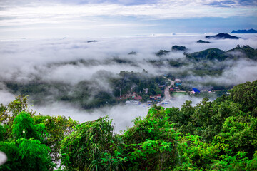 Natural blurred background of fog scattered among trees in the morning, with soft sunlight from the sun, seasonal beauty.