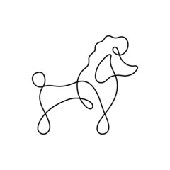 Cute poodle dog one line vector illustration. Hand drawn black outline silhouette of poodle breed. Isolated.