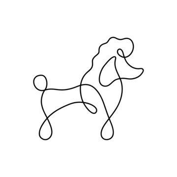 recommend clip art: Cute poodle dog one line vector illustration. Hand drawn black outline silhouette of poodle breed. Isolated.