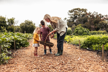 Self-sustainable young family preparing for a harvest on an organic farm