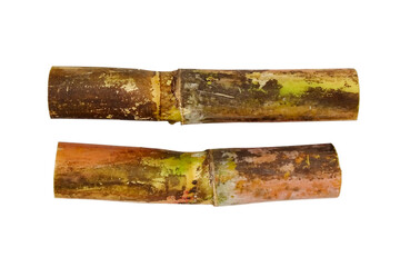 Sugarcane slice isolated on white  background.