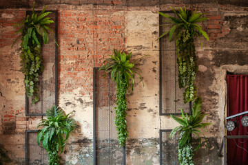 Artificial plants fern and ivy hang on an old ruined brick wall with a lattice
