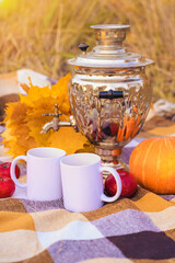 A Russian samovar on a picnic in autumn. Equipment for brewing tea at a picnic in Russia, a Russian national tradition. Selective focus