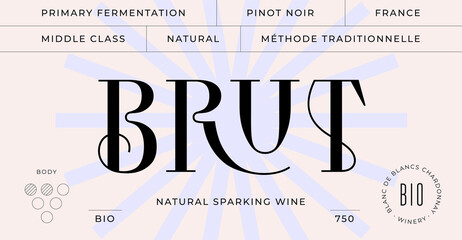 Minimal Label. Set of modern wine tag, label for brand, logo, sticker winery. Template design minimal label, tag or card with text modern font Brut Wine. Typographic wine tag. Vector Illustration