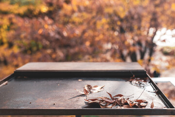 한적한 가을 카페에서