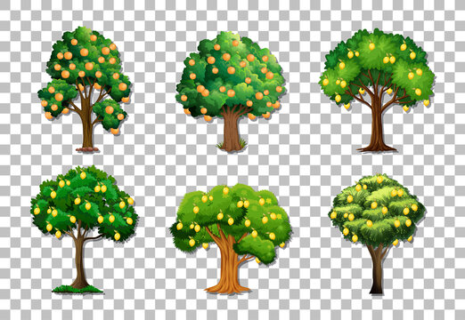 Set of variety fruit trees on transparent background