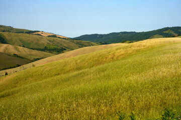 Obraz premium Rural landscape on the hills near Bologna, Emilia-Romagna.