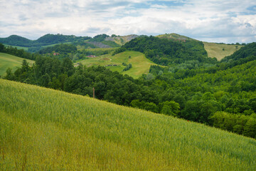 Rural landscape near Riolo and Castellarano, Emilia-Romagna.