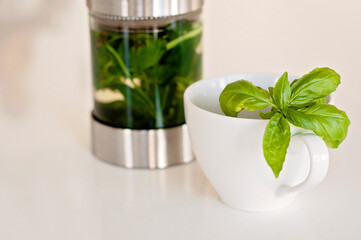 Tea cup. Hot herbal tea on white cup with fresh green peppermint or mint leaves with basil.