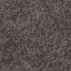 Genuine shark skin. Textured shark skin background close-up. 3D-rendering
