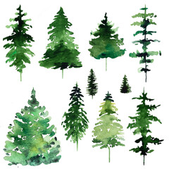 Winter Christmas Watercolors set with green coniferous trees