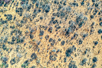 aerial African dry land
